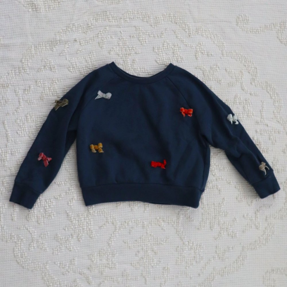 Kid's Gymboree Sweater